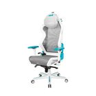 Игровое компьютерное кресло DX Racer AIR/R1S/WQ, сетка, бело-голубой