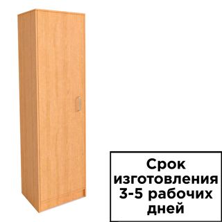 Шкаф для одежды ШО-1, 500*450*1820 мм / Шкафы