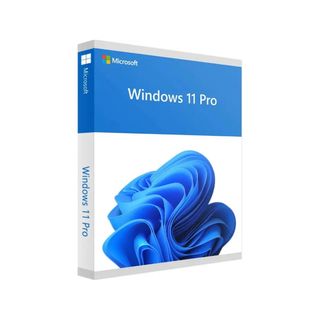 Бағдарламалық жасақтама Microsoft Windows 11 Pro, 64 бит, 1 пайдаланушы, OEM, DVD / Операциялық жүйелер