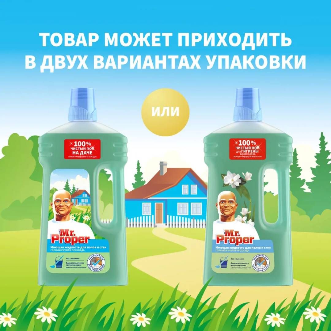 Еден және қабырға жууға арналған құрал Mr.Proper "Тау бұлағы мен салқындығы", 1000 мл / Еден жууға арналған құралдар №4