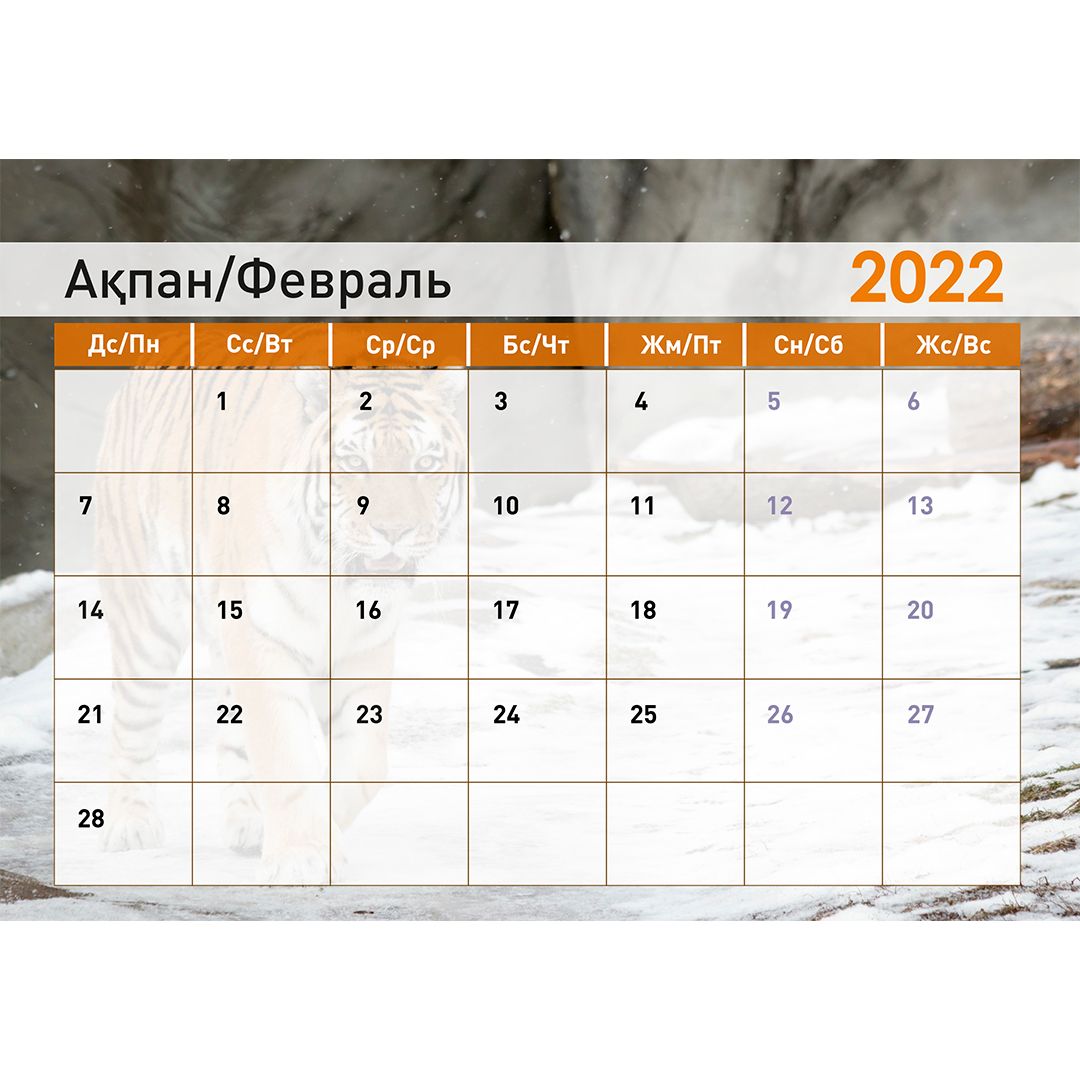Календарь-планер на гребне "Символ года 2022", 130*210 мм / Календари №6