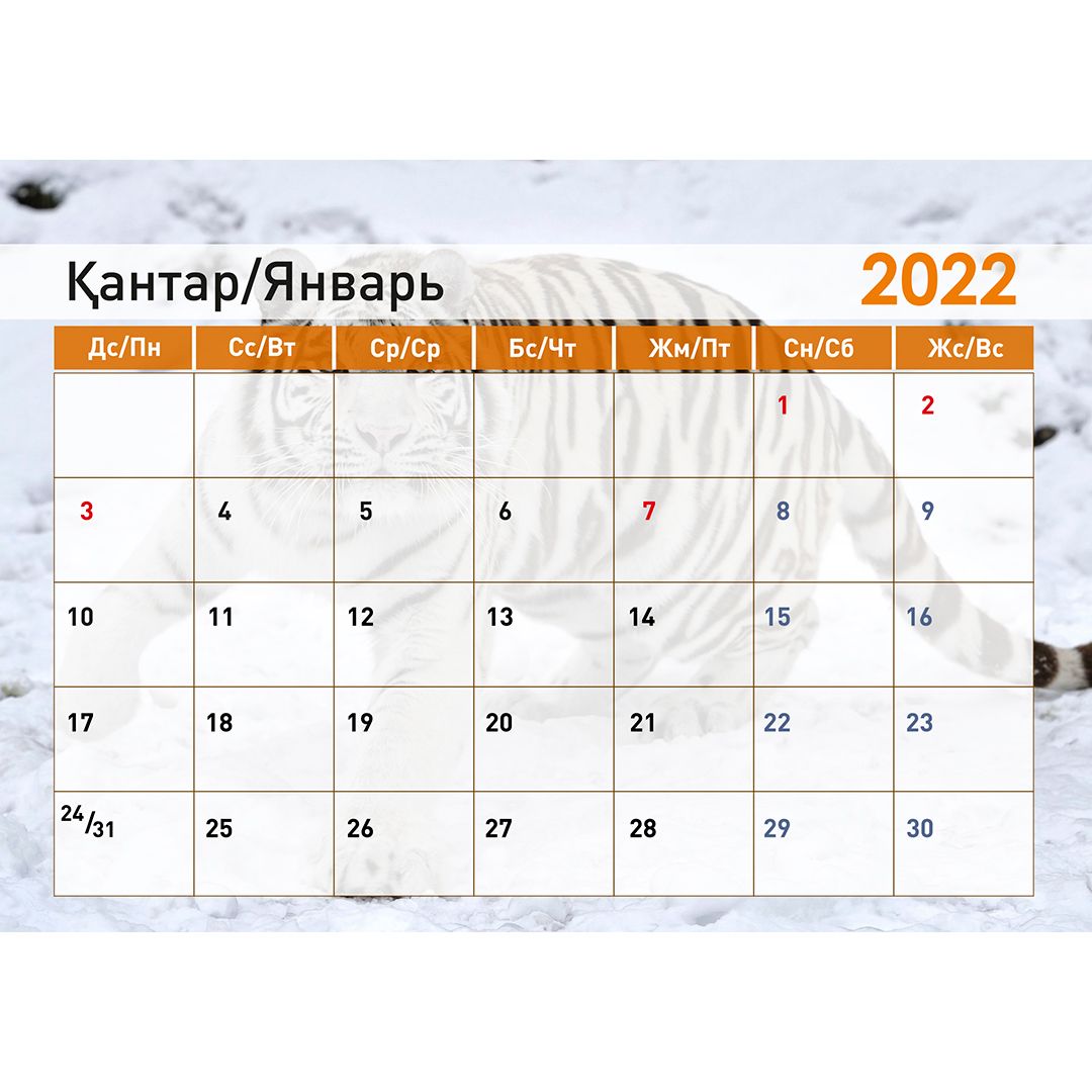 Календарь-планер на гребне "Символ года 2022", 130*210 мм / Календари №4