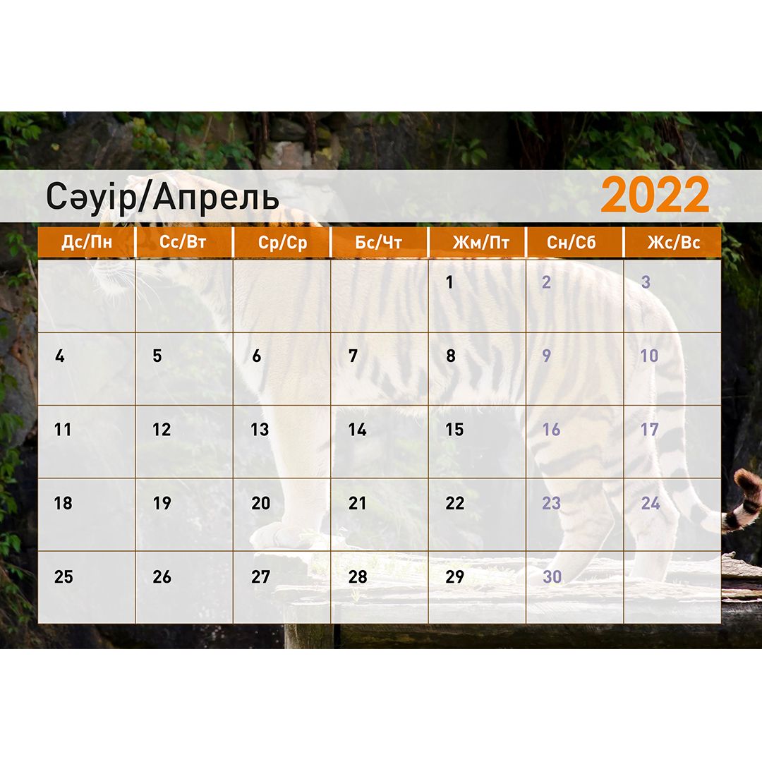 Календарь-планер на гребне "Символ года 2022", 130*210 мм / Календари №10