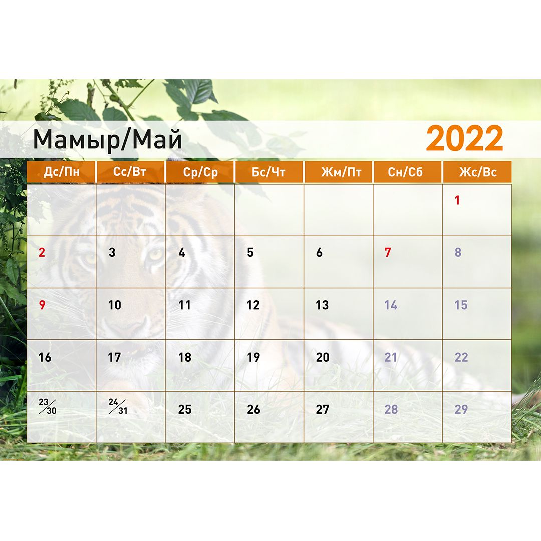 Календарь-планер на гребне "Символ года 2022", 130*210 мм / Календари №12