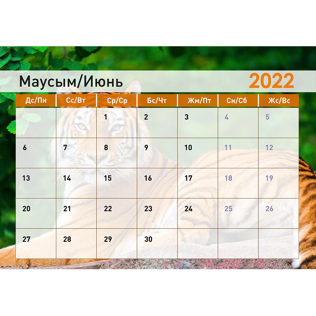 Календарь-планер на гребне "Символ года 2022", 130*210 мм / Календари №14