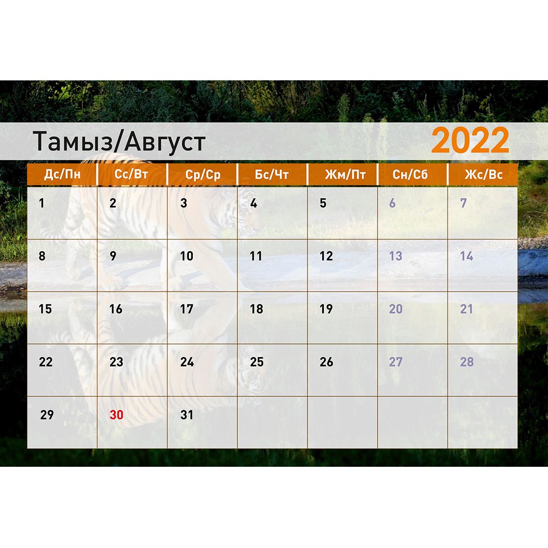 Календарь-планер на гребне "Символ года 2022", 130*210 мм / Календари №18