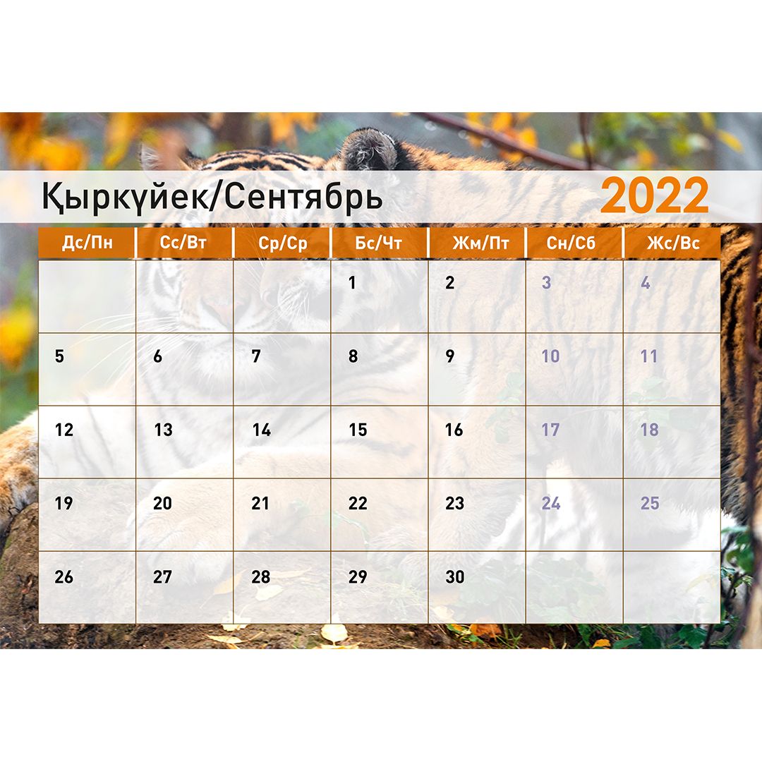 Календарь-планер на гребне "Символ года 2022", 130*210 мм / Календари №20