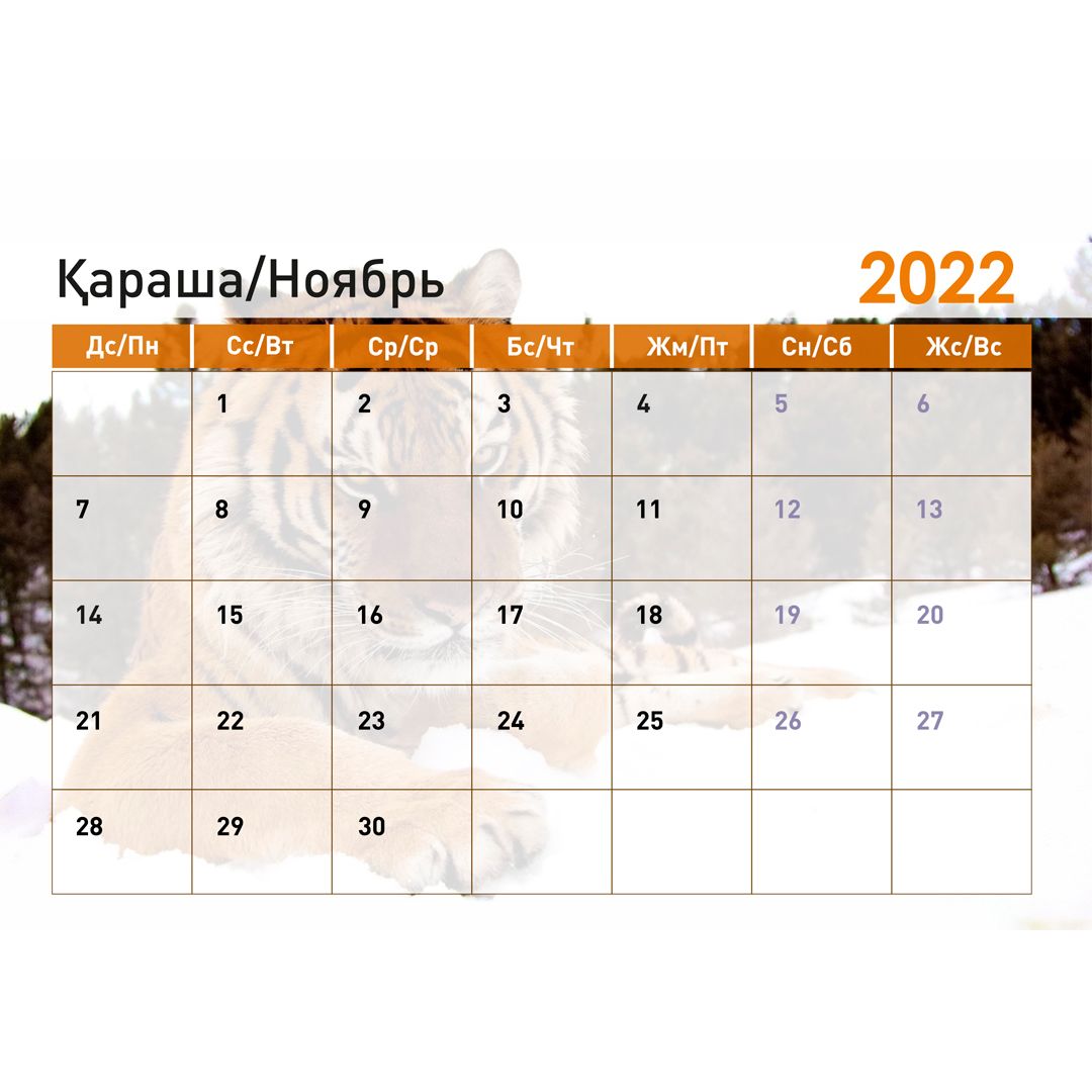 Календарь-планер на гребне "Символ года 2022", 130*210 мм / Календари №24