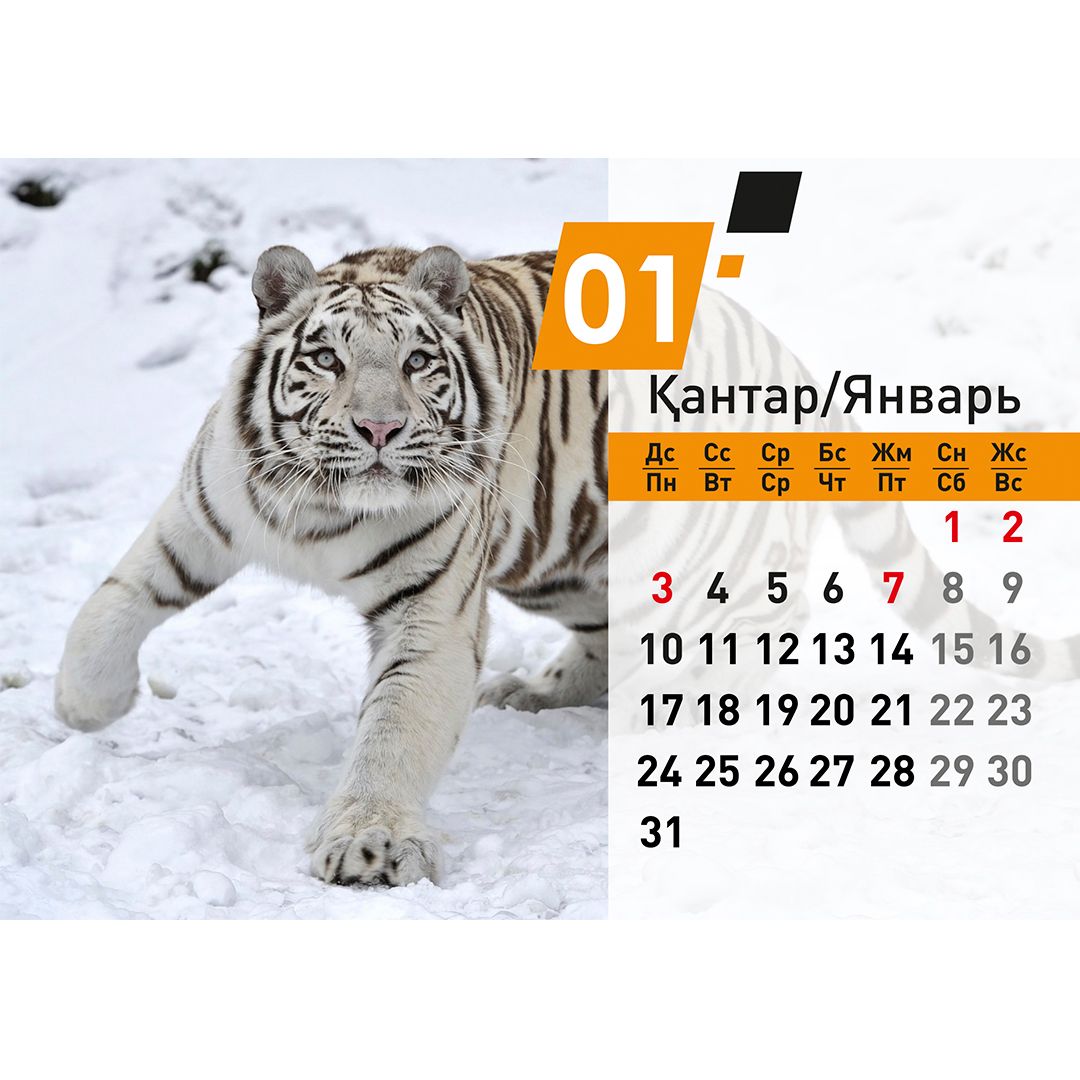 Календарь настольный на гребне "Символ года 2022", 130*210 мм / Календари №3