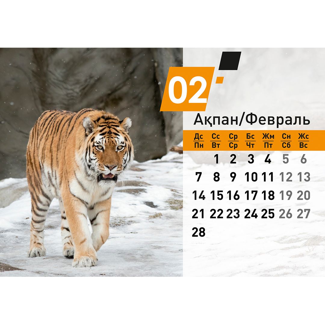 Календарь настольный на гребне "Символ года 2022", 130*210 мм / Календари №4