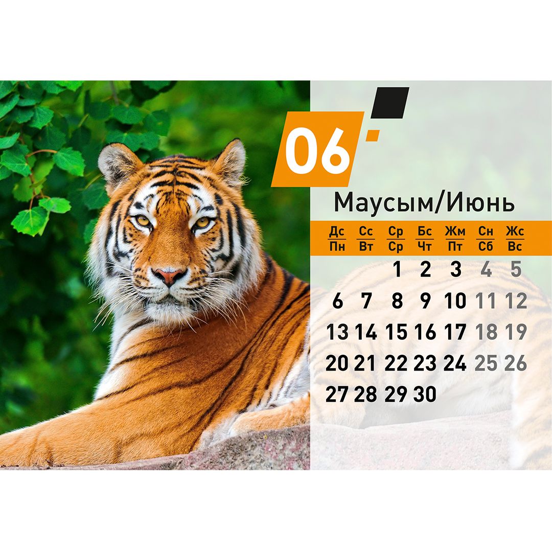 Календарь настольный на гребне "Символ года 2022", 130*210 мм / Календари №8
