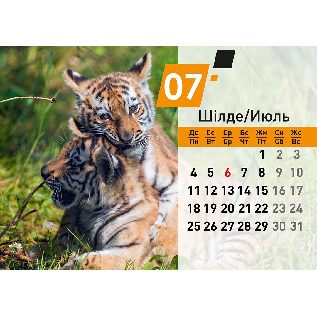 Календарь настольный на гребне "Символ года 2022", 130*210 мм / Календари №9