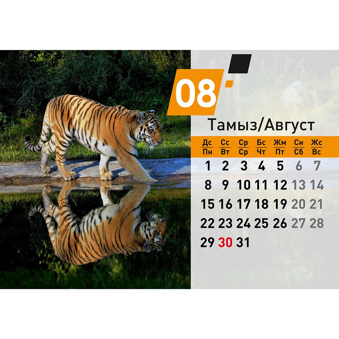 Календарь настольный на гребне "Символ года 2022", 130*210 мм / Календари №10