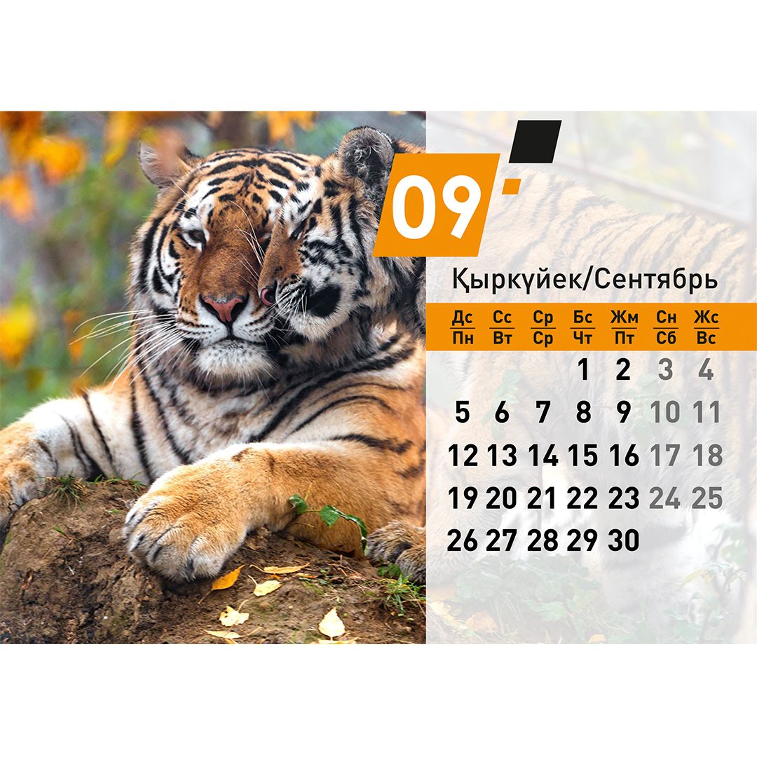Календарь настольный на гребне "Символ года 2022", 130*210 мм / Календари №11