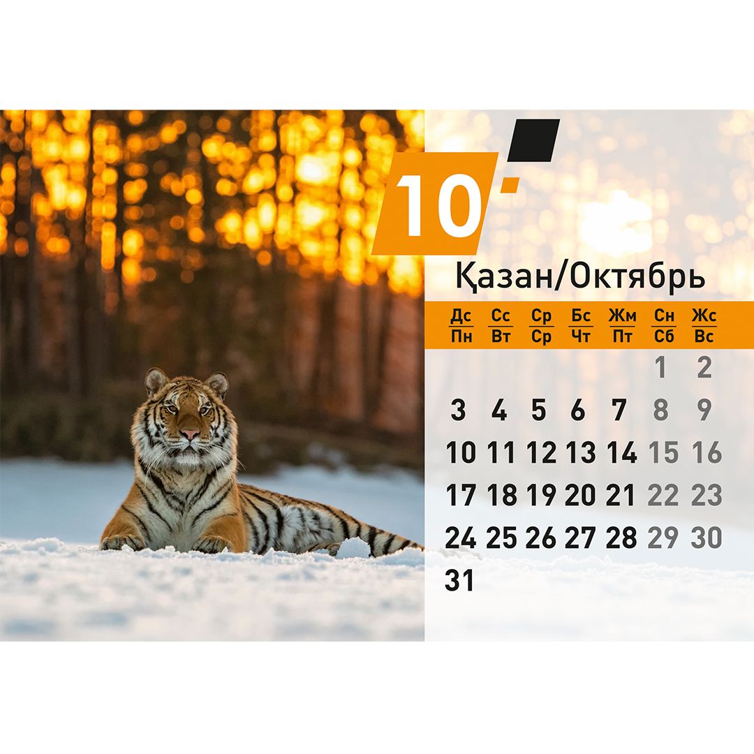 Календарь настольный на гребне "Символ года 2022", 130*210 мм / Календари №12
