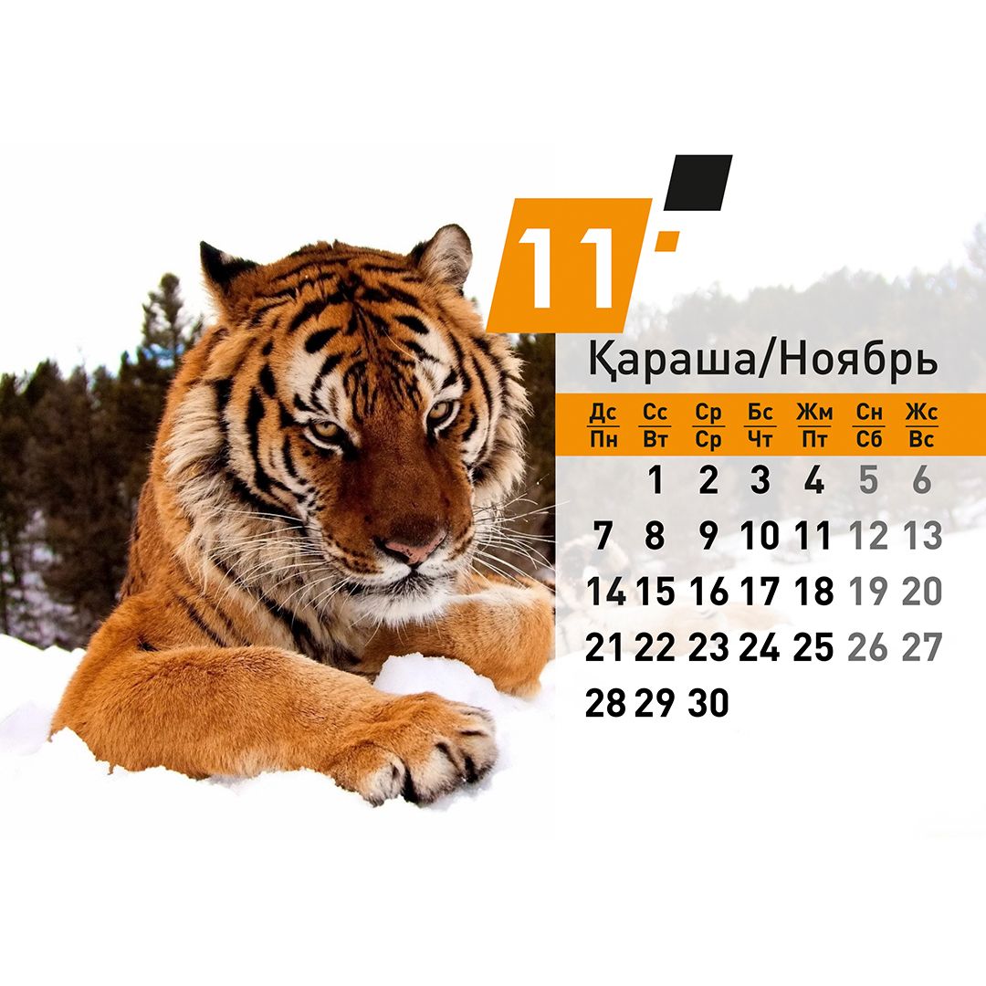 Календарь настольный на гребне "Символ года 2022", 130*210 мм / Календари №13