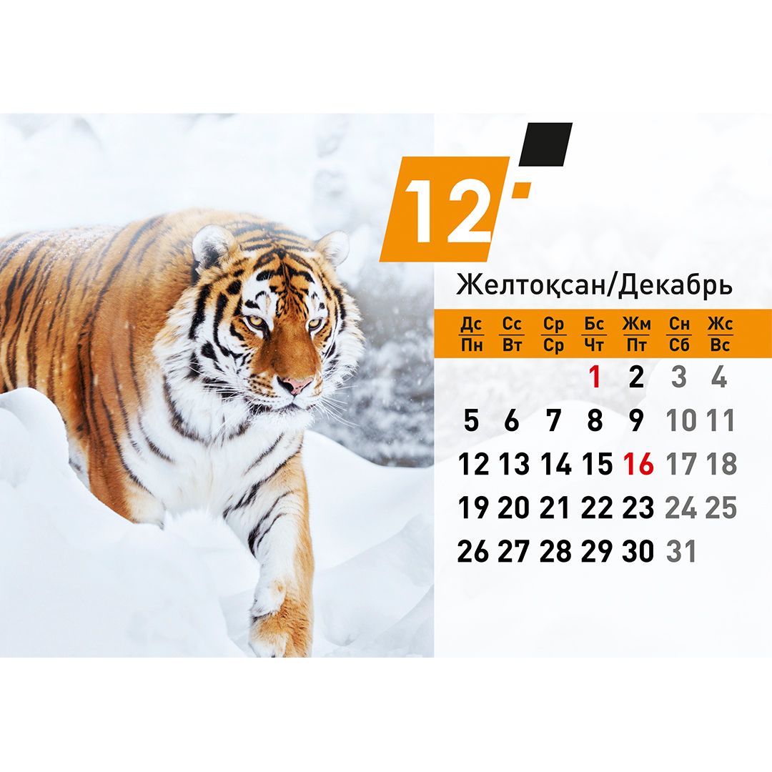 Календарь настольный на гребне "Символ года 2022", 130*210 мм / Календари №14