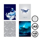 Дәптер А5, 48 парақ, Greenwich Line "Pretty whale", тор көз, қыстырғышта