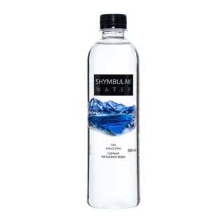 Вода негазированная питьевая "Shymbulak Water", 0,5 л, пластиковая бутылка / Вода питьевая