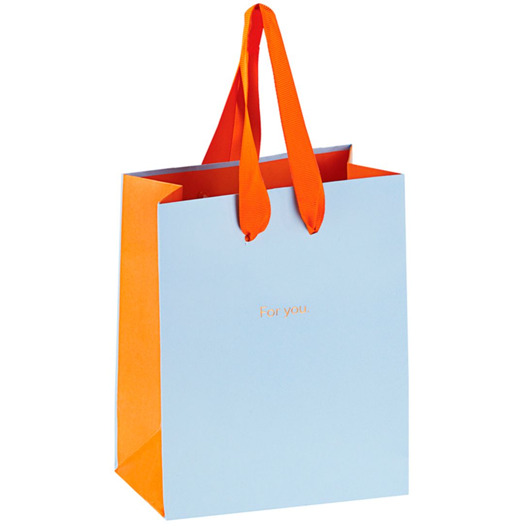 Пакет подарочный Meshu "Duotone. Sky blue", размер 18*23*10 см, матовая ламинация / Упаковка подарков