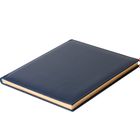 Еженедельник датированный Gift, 2021 г., А4, 80 л., с золотым срезом, синий
