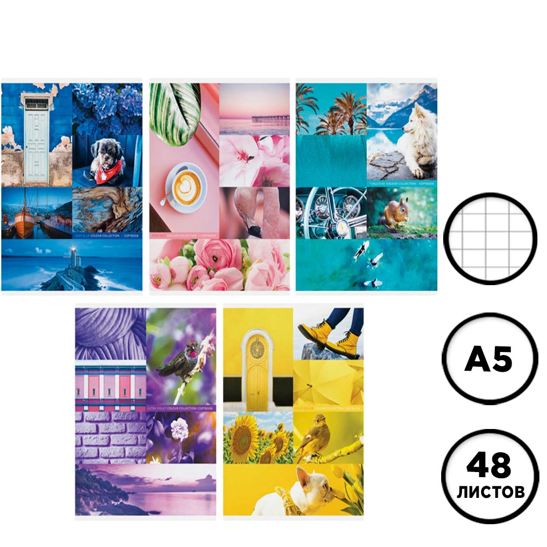 Тетрадь ArtSpace "Стиль. Colourful collage" А5, 48 листов, в клетку, на скрепке / Тетради
