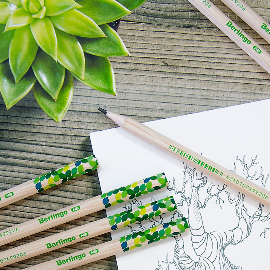 Қара графитті қарындаш Berlingo "Green Series" HB, пластик, үшкірленген өшіргішсіз, баға бір дана үшін / Қара графитті қарындаштар №4
