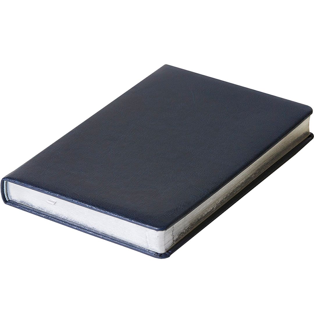 Ежедневник датированный Silvano, 2020 г., А4, 176 л., с золотым срезом, черный / Ежедневники датированные №2