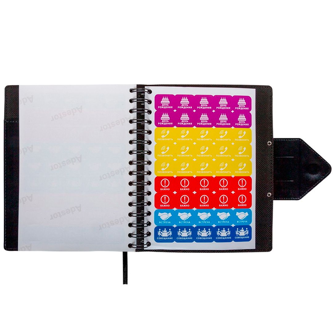 Ежедневник датированный Misterio, 2020 г., А5, 176 л., на застежке, куагуле, в линейку, черный / Ежедневники датированные №6