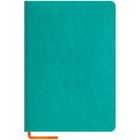 Записная книжка Nebraska soft "ЛАЙТ", А5, 120 листов, бирюзовый, в клетку