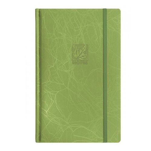 Записная книжка Scribble, А5, 96 л, на резинке, в линейку, зеленая