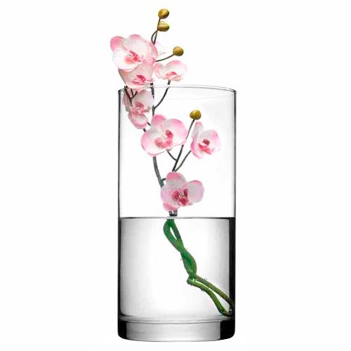 Ваза для цветов Botanika, стекло, высота 26 см, белая / Посуда столовая