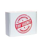 Коробка подарочная "Top Secret", 25*20*10 см, в ассортименте