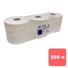 Купить Туалетная бумага рулонная Luscan Professional "Etalon", 250 ...