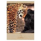 Записная книжка Listoff "Живая планета. Дикие кошки", А6, 80 л, в клетку