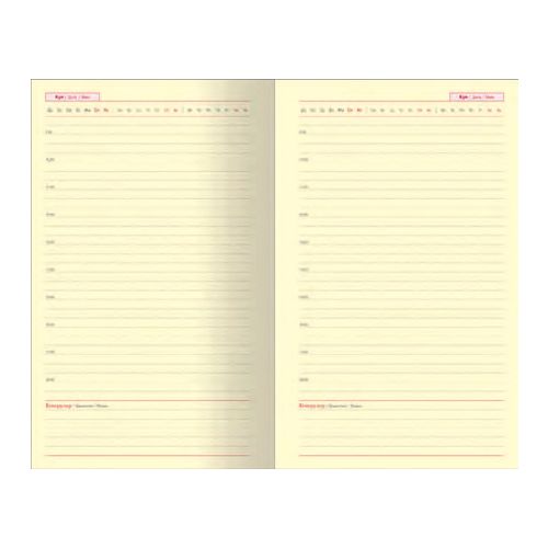 Ежедневник недатированный Croco, 2017-2020 г, А5+, 176 л, съемная гибкая обложка, в линейку, черный / Ежедневники недатированные №3