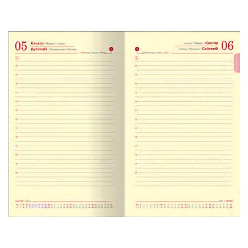 Ежедневник датированный Capitone, 2017 г, А5+, 176 л, коричневый / Ежедневники датированные №3