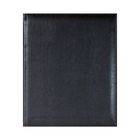 Еженедельник датированный Gift, 2017 г., А4, 80 л, с золотым срезом, куагуле, черный