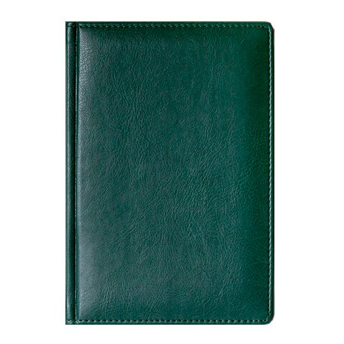 Ежедневник датированный Memory, 2018 г., А5, 176 л., зеленый / Ежедневники датированные