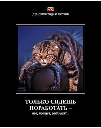 Тетрадь 48 листов, А5 формат, Hatber "Демотиваторы 12",  в клетку, на скобе / Тетради №2