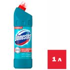 Средство для чистки сантехники Domestos "Свежесть Атлантики", 1000 мл