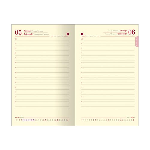 Ежедневник датированный Croco, (каз., рус., англ.), А5, 176 л, с золотым срезом, кожа, коричневый / Ежедневники датированные №3