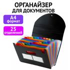 Папка-органайзер Brauberg Docs, 25 бөлім, қағаздар мен құжаттарға арналған, резеңкеде, А4, қара