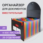 Папка-органайзер Brauberg Docs, 25 бөлім, қағаздар мен құжаттарға арналған, резеңкеде, А4, қара