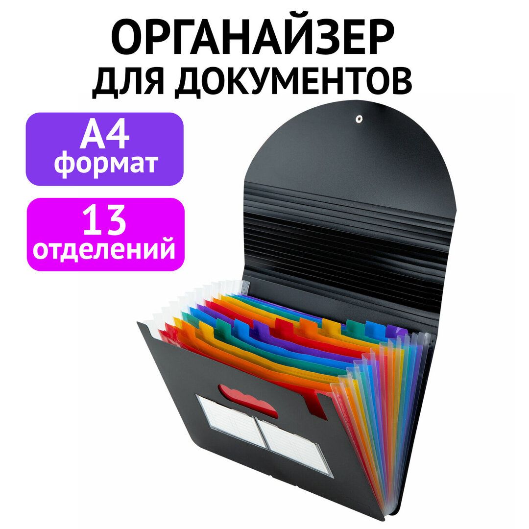 Папка-органайзер Brauberg Docs, 13 отделений, для бумаг и документов на резинке А4, черная