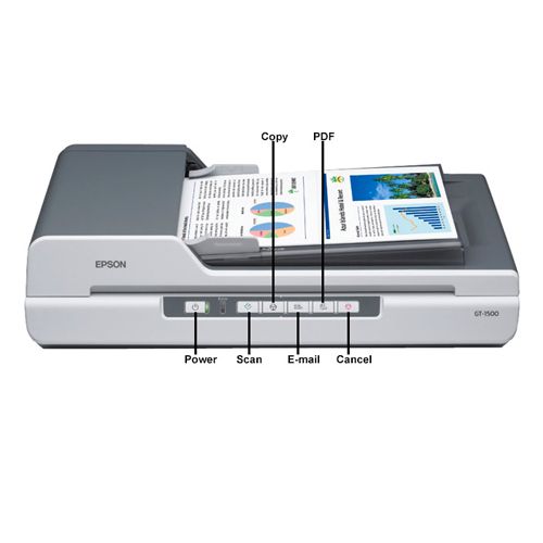 Сканер Epson GT-1500, A4, 1200*2400 dpi, 48 bit, USB 2.0, ADF, планшетный / Сканеры №2