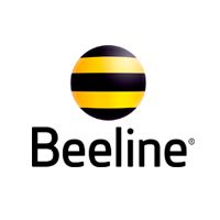 500 единиц Beeline / null