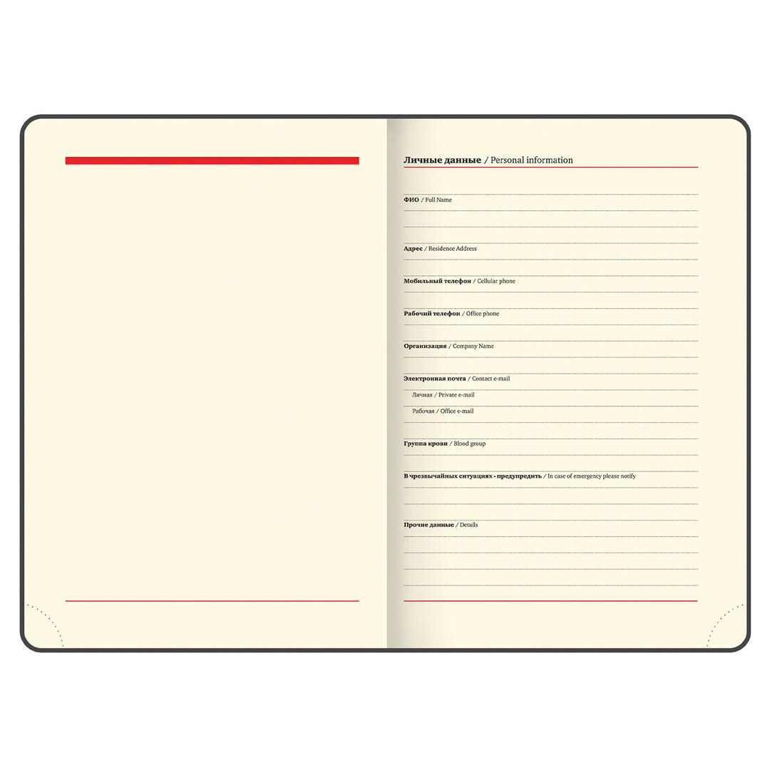 Ежедневник недатированный Brauberg "Stylish", А5, 160 л, кожзам, бирюзовый / Ежедневники недатированные №6