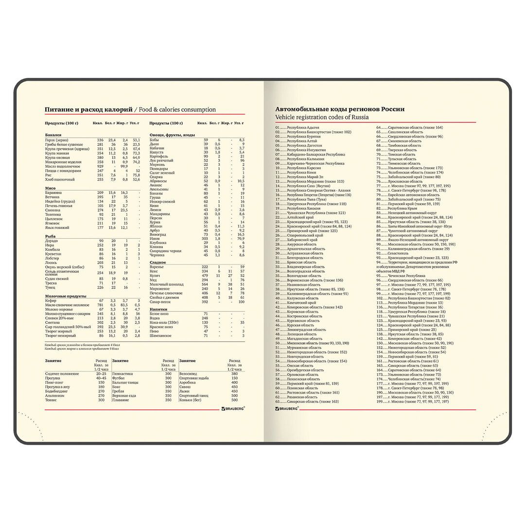 Ежедневник недатированный Brauberg "Stylish", А5, 160 л, кожзам, бирюзовый / Ежедневники недатированные №9