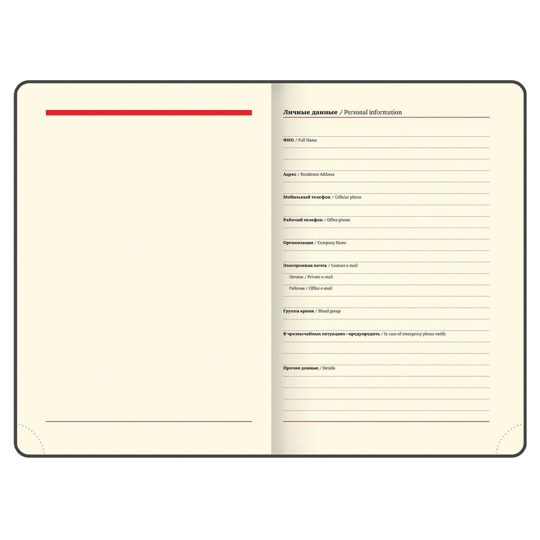 Ежедневник недатированный Brauberg "Iguana", А5, 160 л, кожзам, темно-синий / Ежедневники недатированные №6